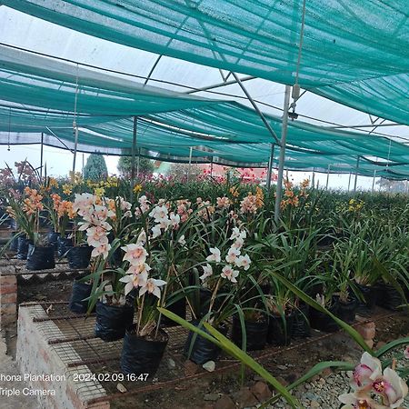 Vilasa Homestay Darjeeling  Ngoại thất bức ảnh